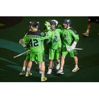 Saskatchewan Rush celebrate a goal