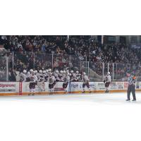 Peterborough Petes celebrate win