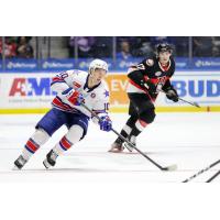 Rochester Americans' Brandon Biro And Belleville Senators' Ridly Greig In Action