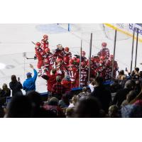 Rapid City Rush celebrate win