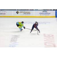 Rapid City Rush's Lucas Feuk on the ice