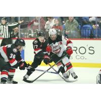 Belleville Senators' Angus Crookshank And Ridly Greig Battle Utica Comets' Robbie Russo