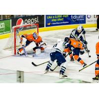 Worcester Railers goaltender Henrik Tikkanen faces the Maine Mariners