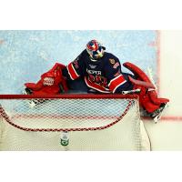 Regina Pats goaltender Matthew Kieper