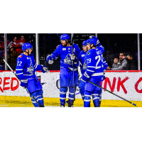 Wichita Thunder celebrate a goal