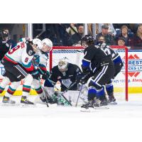 Kelowna Rockets' Marcus Pacheco and Victoria Royals' Braden Holt, Brayden Schuurman and Jason Spizawka in action