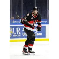 Belleville Senators' Egor Sokolov In Action