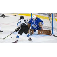 Idaho Steelheads' Wade Murphy Battles Wichita Thunder's Van Buitenhuis