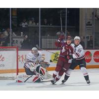 Peterborough Petes' Samuel Mayer battles Owen Sound Attack's Matthew Papais