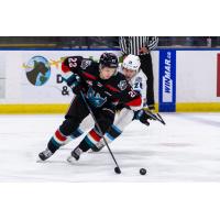 Kelowna Rockets' Gabriel Szturc