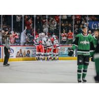 Grand Rapids Griffins celebrate win