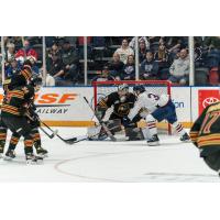 Vancouver Giants battle the Tri-City Americans