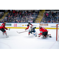 Springfield Thunderbirds battle the Utica Comets