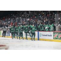 Texas Stars celebrate win