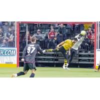 St. Louis Ambush' Ado Jahic And Milwaukee Wave's Alex Steinwascher On The Field