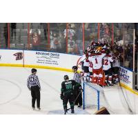 Rapid City Rush Celebrate Win