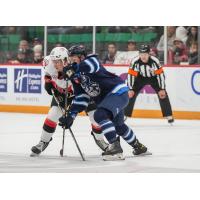 Belleville Senators' Cole Reinhardt Battles the Manitoba Moose