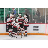 Belleville Senators celebrate win