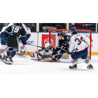 Victoria Royals battle the Tri-City Americans