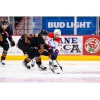 Vancouver Giants' Tyler Thorpe battles Spokane Chiefs' Tommaso De Luca