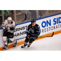 Vancouver Giants' new player, Connor Dale, in action