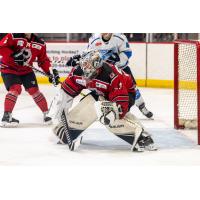 Birmingham Bulls goaltender Austin Lotz