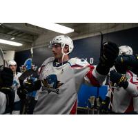 Springfield Thunderbirds defenseman Jake Ryczek