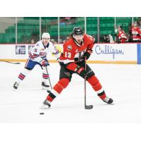 Belleville Senators forward Egor Sokolov