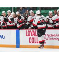 Belleville Senators forward Egor Sokolov