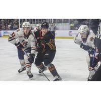 Kamloops Blazers' Shea Van Olm battles Vancouver Giants' Connor Dale