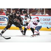 Springfield Thunderbirds center Matthew Peca (right) faces off with the Hershey Bears