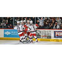 Grand Rapids Griffins celebrate a goal