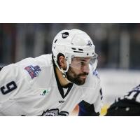 Jacksonville Icemen forward Luke Lynch