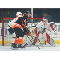 Fort Wayne Komets' Anthony Petruzzelli And Wheeling Nailers' Goalie Bailey Brkin In Action