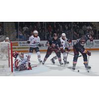 Peterborough Petes' Jonathan Melee and Jax Dubois battle the Niagara IceDogs