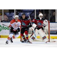 Kelowna Rockets and Victoria Royals on game night