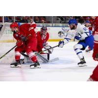 Wichita Thunder's Chris Mckay In Action