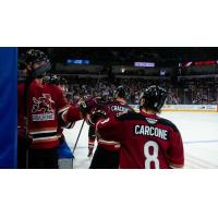 Tucson Roadrunners forwards Adam Cracknell and Mike Carcone receive fist bumps