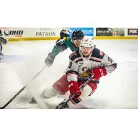 Grand Rapids Griffins forward Drew Worrad