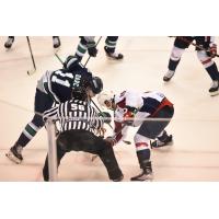 South Carolina Stingrays face off with the Florida Everblades