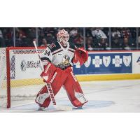 Grand Rapids Griffins goaltender Alex Nedeljkovic