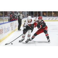 Grand Rapids Griffins defenseman Simon Edvinsson (right) vs. the Rockford IceHogs