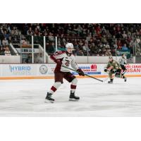 Peterborough Petes defenceman Brian Zanetti