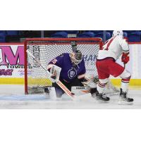 Reading Royals goaltender Pat Nagle