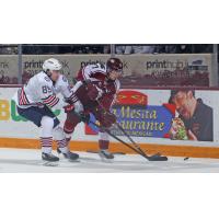 Oshawa Generals' Luke Torrance battles Peterborough Petes' Shawn Spearing