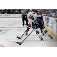 Jacksonville Icemen defenseman Garret Cockerill