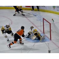 Lehigh Valley Phantoms' Jordy Bellerive battles Wilkes-Barre/Scranton Penguins Filip Lindberg