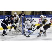 Worcester Railers Look for an opening against the Newfoundland Growlers