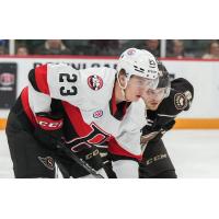 Belleville Senators' Cole Reinhardt In Action