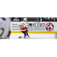 Coachella Valley Firebirds' Martin Chromiak on the ice